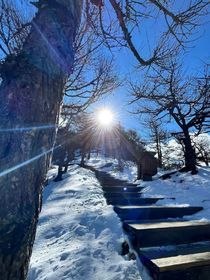 花小：未命名的信件