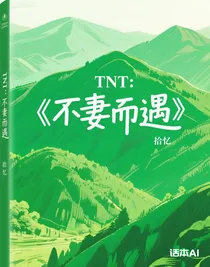 TNT：不妻而遇