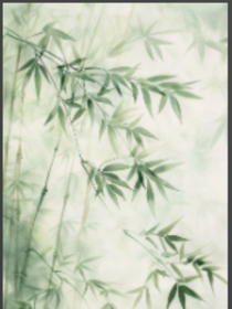 观影喜羊羊（不是官方配）