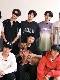 你是后陡门新人