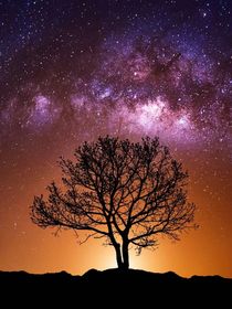 爆裂飞车（改良版）