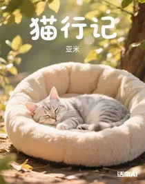 猫行记