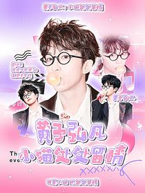 黄子弘凡：小猫处处留情