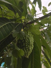 纯吐槽煞笔室友