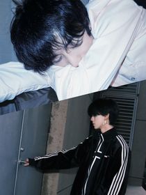 左邓：由自的自由