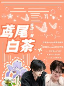 轩源：鸢尾白茶