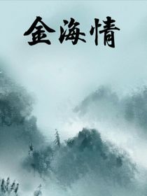 金海情