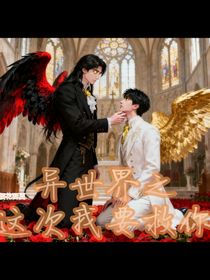 异世界之这次我要救你