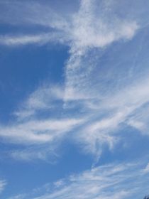 恐怖游戲（防其他地方下架版）