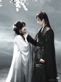 综影视：女主她如此多娇