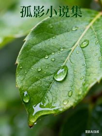 孤影小说集