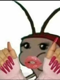 我和你非常特別的相遇