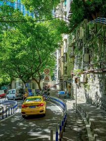 心率的跳动是他爱他的信号