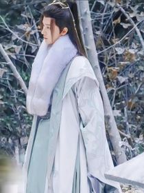 少年歌行：卿卿眉间雪