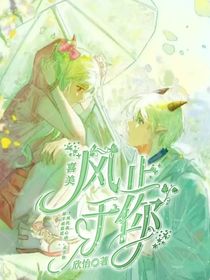 喜美：风止于你