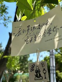 若年盛夏（别名：他藏了夏天）