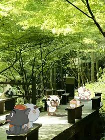 灰喜之搞笑多多