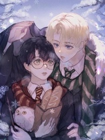 德哈：荆棘上的救赎