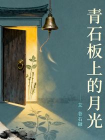 青石板上的月光