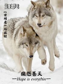 狼王梦二——狼怨苍天