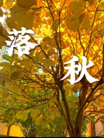 落秋：我是女配如何？我只为自己而活