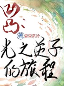 凹凸：光之逆子的旅程