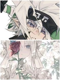 潮汐与星轨共眠