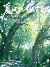 夏风掠过银杏巷