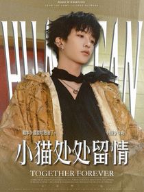 黄子弘凡：小猫处处留情