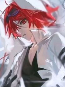 凹凸世界之S天使