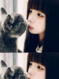 我穿越成了女主闺蜜