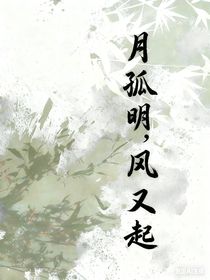 月孤明，风又起