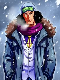 海贼王：青雉大将的极致宠溺