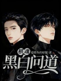 棋魂：黑白问道