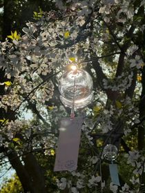 鬼灭：霞雾中的白鹤