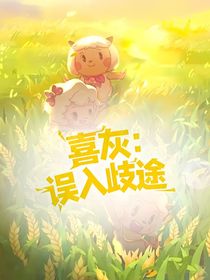 喜灰：误入歧途