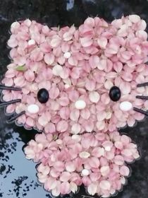 34个省和瓷的日常生活