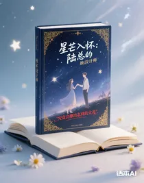 星芒入怀：陆总的独家没计师