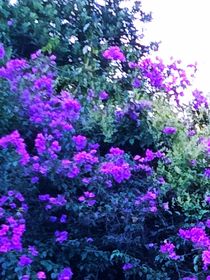 遇你，我四季如春