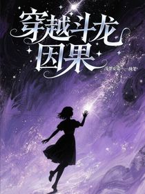 穿越斗龙：因果