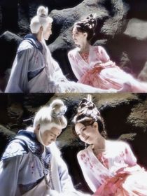 综影视：落花锦鲤映春色