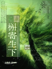 王櫓杰：槲寄生下