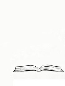 布网与收网的接线