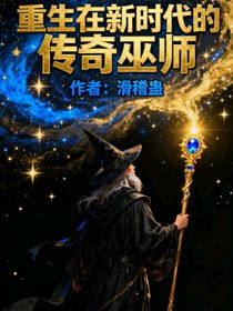 重生在新时代的传奇巫师