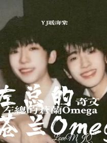 奇文：左总的苍兰Omega