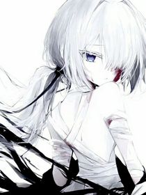 猩红玫瑰与暗影密钥