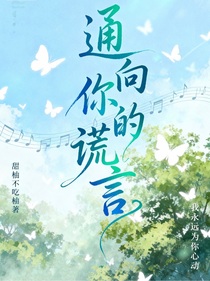 通向你的谎言