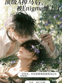 顶级A掉马后，被Enigma缠上了