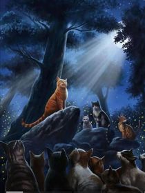 新的族群：第六章