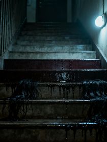 旧楼的第十三级台阶